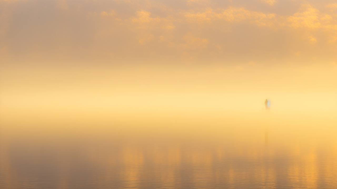 A solitary figure stands at the fog-laden shores of Loch Ness at dawn, silhouetted against golden autumn light as subtle ripples disturb the water’s misty surface, hinting at an elusive presence beneath.